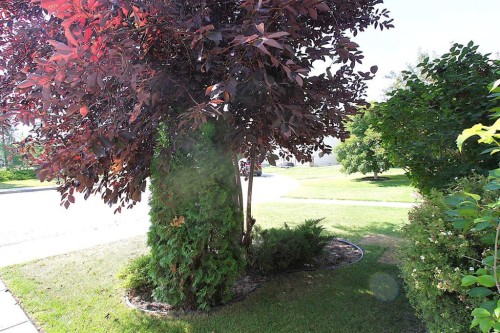 264 Vanson Close, Red Deer, AB - Outdoor