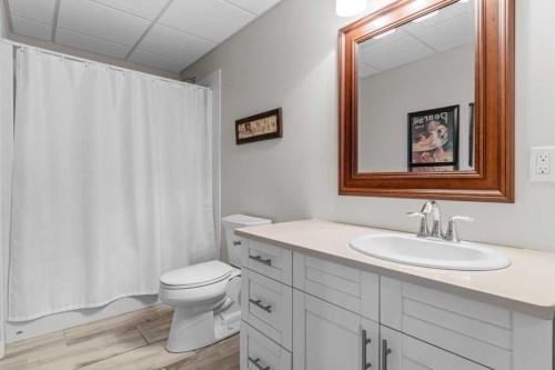 36408 Range Road 271, Rural Red Deer County, AB - Indoor Photo Showing Bathroom