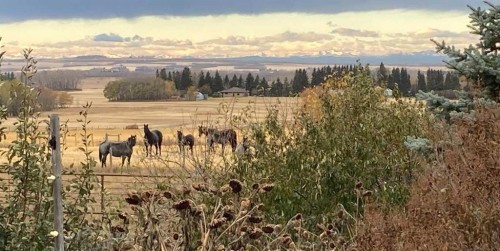 36408 Range Road 271, Rural Red Deer County, AB - Outdoor With View
