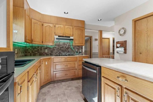 4732 48 Street, Sylvan Lake, AB - Indoor Photo Showing Kitchen