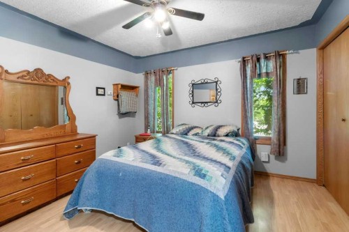 4732 48 Street, Sylvan Lake, AB - Indoor Photo Showing Bedroom