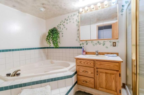 4732 48 Street, Sylvan Lake, AB - Indoor Photo Showing Bathroom