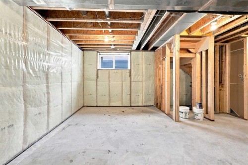 41 Pinnacle Close, Blackfalds, AB - Indoor Photo Showing Basement