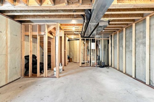 41 Pinnacle Close, Blackfalds, AB - Indoor Photo Showing Basement