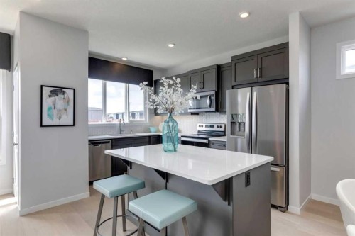 259 Chelsea Road, Chestermere, AB - Indoor Photo Showing Kitchen With Upgraded Kitchen