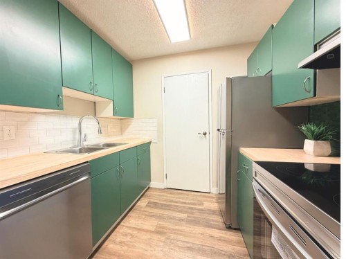 5946-45 A Avenue, Lacombe, AB - Indoor Photo Showing Kitchen With Double Sink