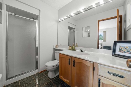 13 Spruce Drive, Lacombe, AB - Indoor Photo Showing Bathroom