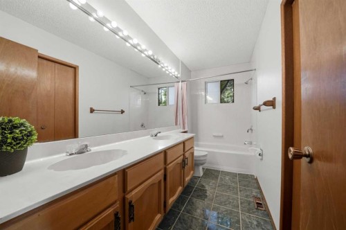 13 Spruce Drive, Lacombe, AB - Indoor Photo Showing Bathroom