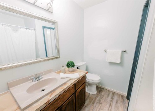 3219 Olson Street, Donalda, AB - Indoor Photo Showing Bathroom