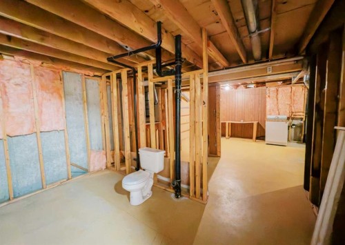 3219 Olson Street, Donalda, AB - Indoor Photo Showing Basement