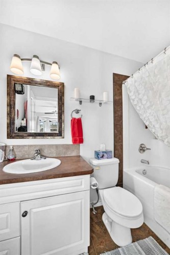 60 Arthur Close, Red Deer, AB - Indoor Photo Showing Bathroom
