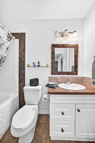 60 Arthur Close, Red Deer, AB - Indoor Photo Showing Bathroom