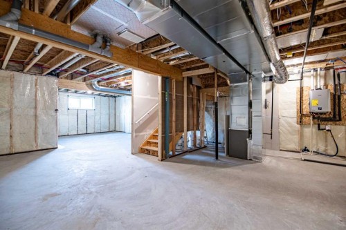 87 Linden Place, Rural Red Deer County, AB - Indoor Photo Showing Basement