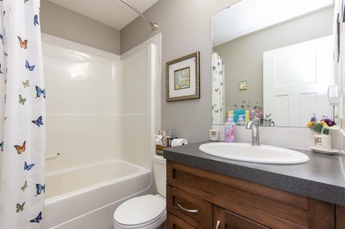 146 Truant Crescent, Red Deer, AB - Indoor Photo Showing Bathroom
