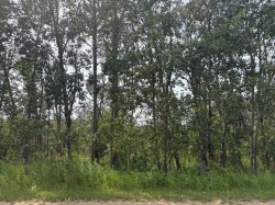 328-22113 TWP RD 440 Rural Camrose County, AB T0B 1M0