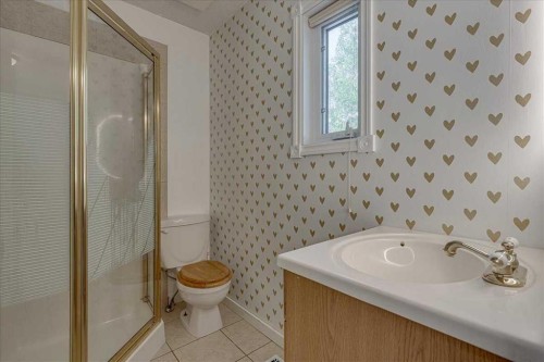 134 Douglas Avenue, Red Deer, AB - Indoor Photo Showing Bathroom
