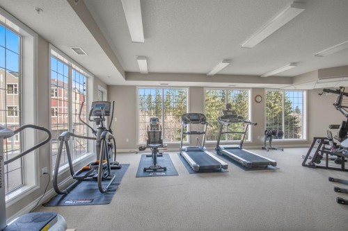 226-6 Michener Boulevard, Red Deer, AB - Indoor Photo Showing Gym Room