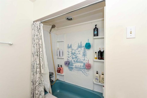 6314 44A Avenue, Camrose, AB - Indoor Photo Showing Bathroom