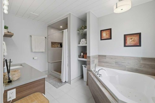 49 Macfarlane Avenue, Red Deer, AB - Indoor Photo Showing Bathroom
