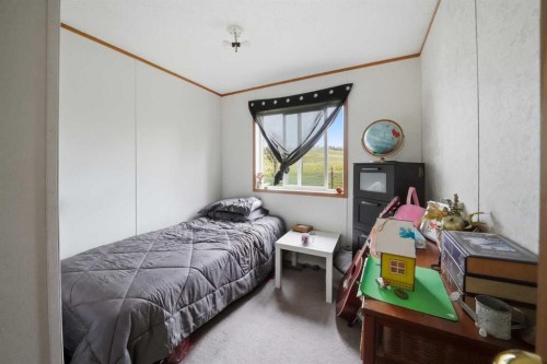 35219 Range Road 242, Rural Red Deer County, AB - Indoor Photo Showing Bedroom