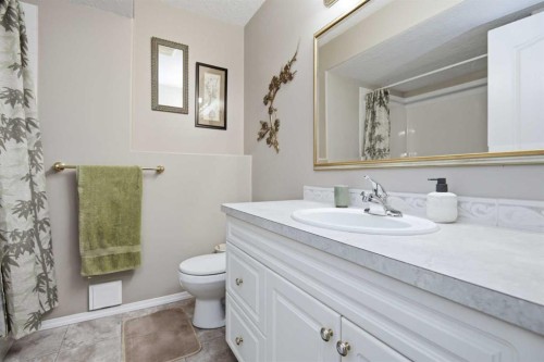 98 Duval Crescent, Red Deer, AB - Indoor Photo Showing Bathroom