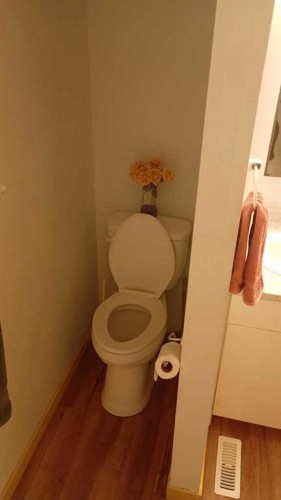 5118 Alexander Avenue, Coronation, AB - Indoor Photo Showing Bathroom