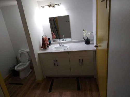 5118 Alexander Avenue, Coronation, AB - Indoor Photo Showing Bathroom