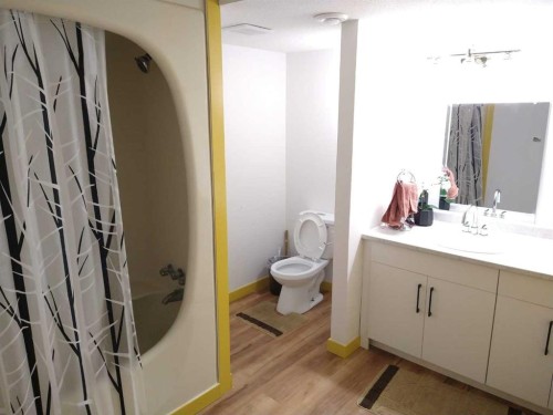 5118 Alexander Avenue, Coronation, AB - Indoor Photo Showing Bathroom