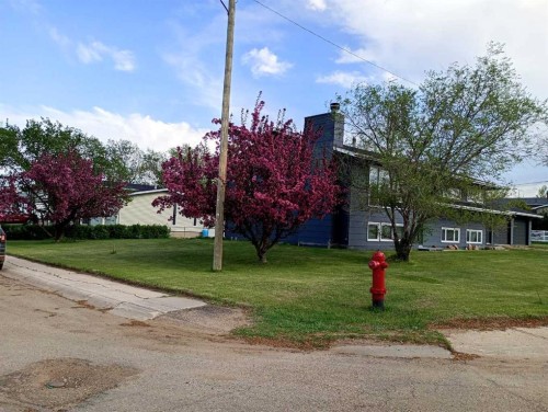5118 Alexander Avenue, Coronation, AB - Outdoor