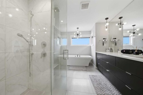 102 Longmire Close, Red Deer, AB - Indoor Photo Showing Bathroom