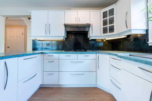 19 Maxwell Avenue, Red Deer, AB - Indoor Photo Showing Kitchen