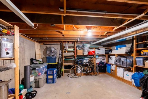 19 Maxwell Avenue, Red Deer, AB - Indoor Photo Showing Basement