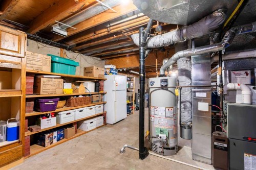19 Maxwell Avenue, Red Deer, AB - Indoor Photo Showing Basement