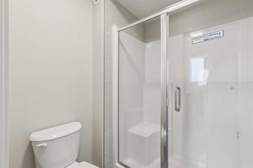 660 Clearwater Heath, Chestermere, AB - Indoor Photo Showing Bathroom