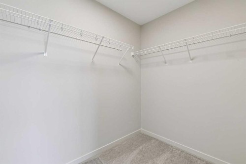 660 Clearwater Heath, Chestermere, AB - Indoor With Storage