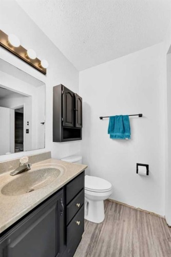 165 Wilson Crescent, Red Deer, AB - Indoor Photo Showing Bathroom