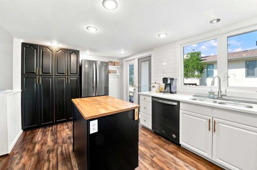 60 Conners Crescent, Red Deer, AB - Indoor Photo Showing Kitchen With Double Sink