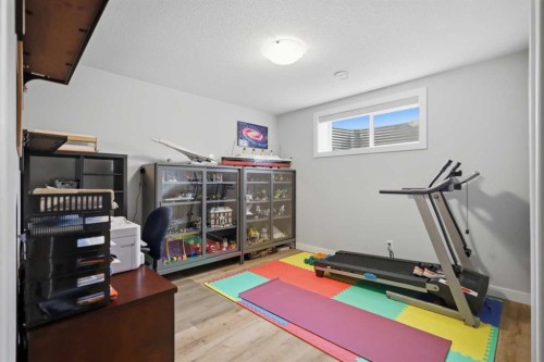 217 Augustus Way, Penhold, AB - Indoor Photo Showing Gym Room