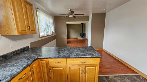 4810 Windsor Avenue, Coronation, AB - Indoor Photo Showing Kitchen