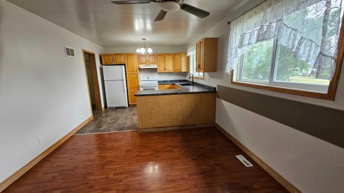 4810 Windsor Avenue, Coronation, AB - Indoor Photo Showing Kitchen