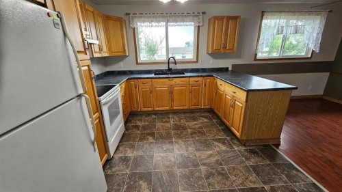 4810 Windsor Avenue, Coronation, AB - Indoor Photo Showing Kitchen