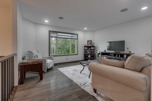 49 Castella Crescent, Red Deer, AB - Indoor Photo Showing Living Room