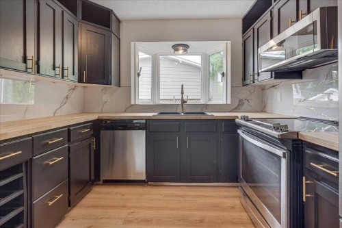 3 Armstrong Close, Red Deer, AB - Indoor Photo Showing Kitchen With Double Sink