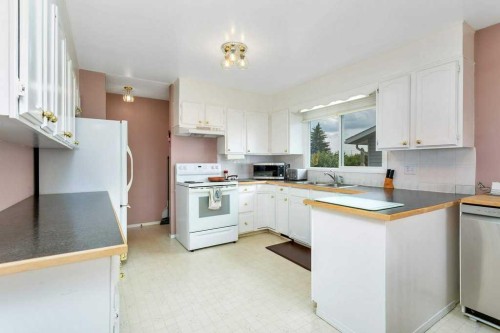 6739 59Th Avenue, Red Deer, AB - Indoor Photo Showing Kitchen With Double Sink