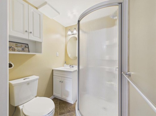 42 Greenham Drive, Red Deer, AB - Indoor Photo Showing Bathroom