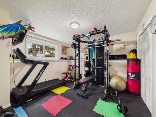 42 Greenham Drive, Red Deer, AB - Indoor Photo Showing Gym Room