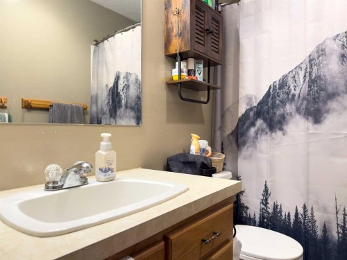 34545 Range Road 43, Rural Red Deer County, AB - Indoor Photo Showing Bathroom