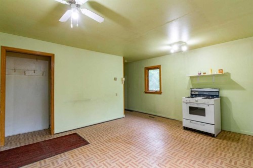 5127 50 Street, Mirror, AB - Indoor Photo Showing Kitchen