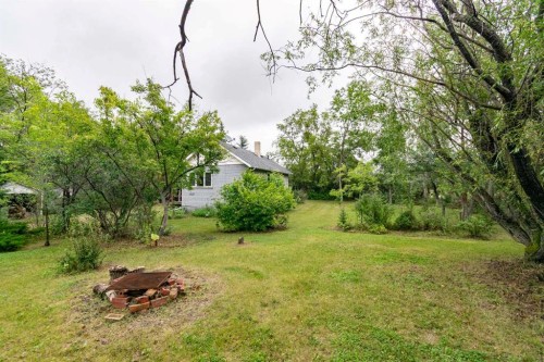 5127 50 Street, Mirror, AB - Outdoor