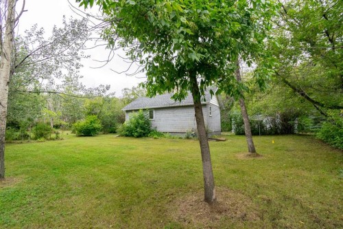 5127 50 Street, Mirror, AB - Outdoor